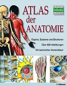 Atlas der Anatomie: Der menschliche Körper und sein... | Buch | Zustand sehr gut - not specified