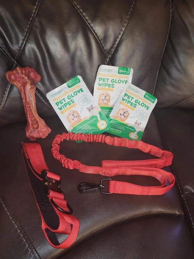 7-Piece Dog Gear Set - Red Military Harness, Leash, Collar, Gloves, Chew Bone