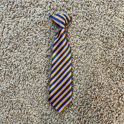 Little Boys Blue Orange Clip On Tie 10'' Inches Long GOOD