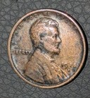 Picture 6 of 19