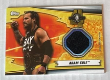 WWE Adam Cole 2019 Topps Event Used NXT Takeover 4 Brooklyn Mat Relic Card Aew