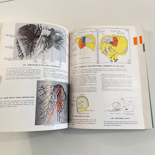 Grant's ATLAS OF ANATOMY 7th ed HC Color ILLUSTRATIONS 1978 James E. Anderson MD - Bild 10 von 13