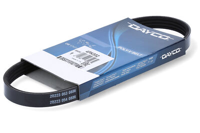 Cinghia Poly-V DAYCO 4PK552 Per Fiat Seicento 1.1 - Ricambio Originale - Foto 5