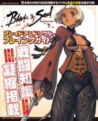 Kim Hyung-tae: Blade & Soul Playing Guide Book Japan Japanese