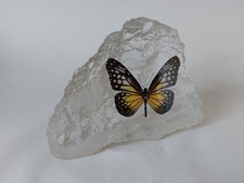glassy tiger butterfly resin butterfly glassy tiger butterfly ornament resin