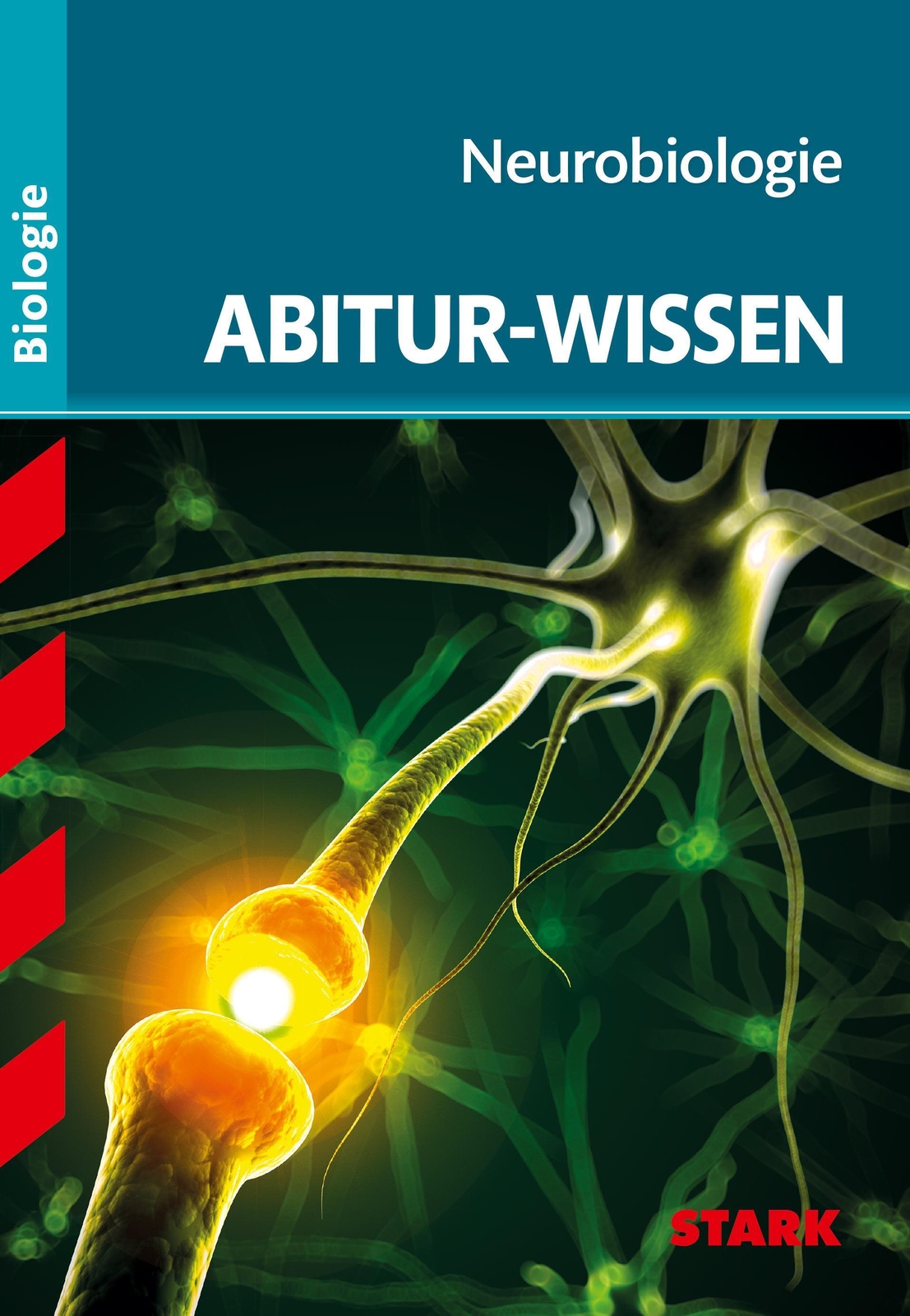 Thumbnail - Abitur-wissen Biologie. Neurobiologie | Thomas Kappel | Deutsch |