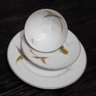 H&C Selb Bavaria Heinrich Sammeltassengedeck