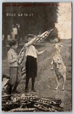 "How We Do Things" at Grafton West Virginia~Exaggerated Pea Pods~Billy Goat~1910