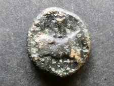 T13.24.  Italien, Kampanien, Neapolis, AE16, um 270-250 v. Chr.
