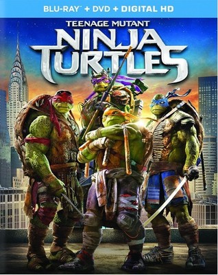 Teenage Mutant Ninja Turtles (DVD, 2014)