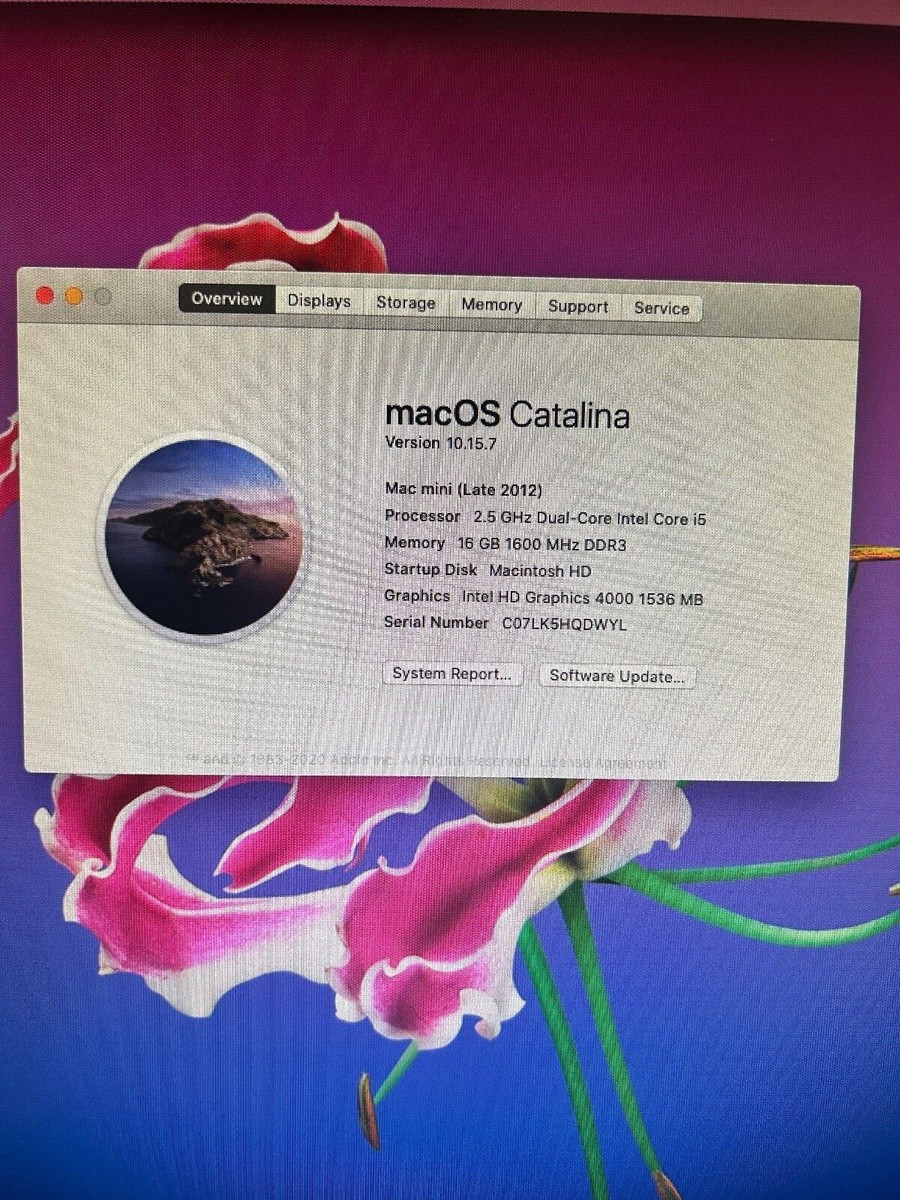 Apple Mac Mini (Late 2012) (500GB SSD,2.5 GHz Dual-Intel