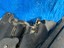 Bild 3 von 10
