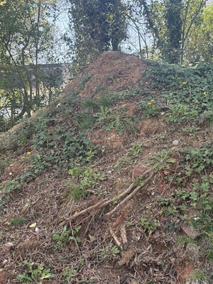 #ad #ad Dirt for sale $1.00