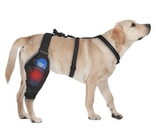 Dog Knee Brace for Torn ACL Hind Leg Dog Knee Braces for Right leg-Large