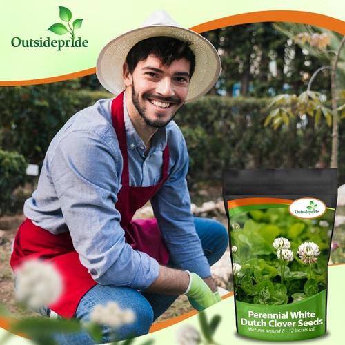 Outsidepride Perennial White Dutch Clover Seed - 2 Lbs. Nitrocoated, Inoculated - Picture 6 of 7
