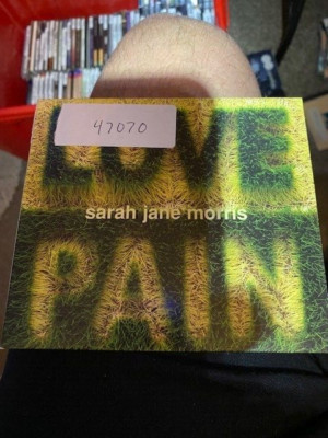 Love and Pain- Sarah Jane Morris (CD, 2003, Evolver) Near Mint