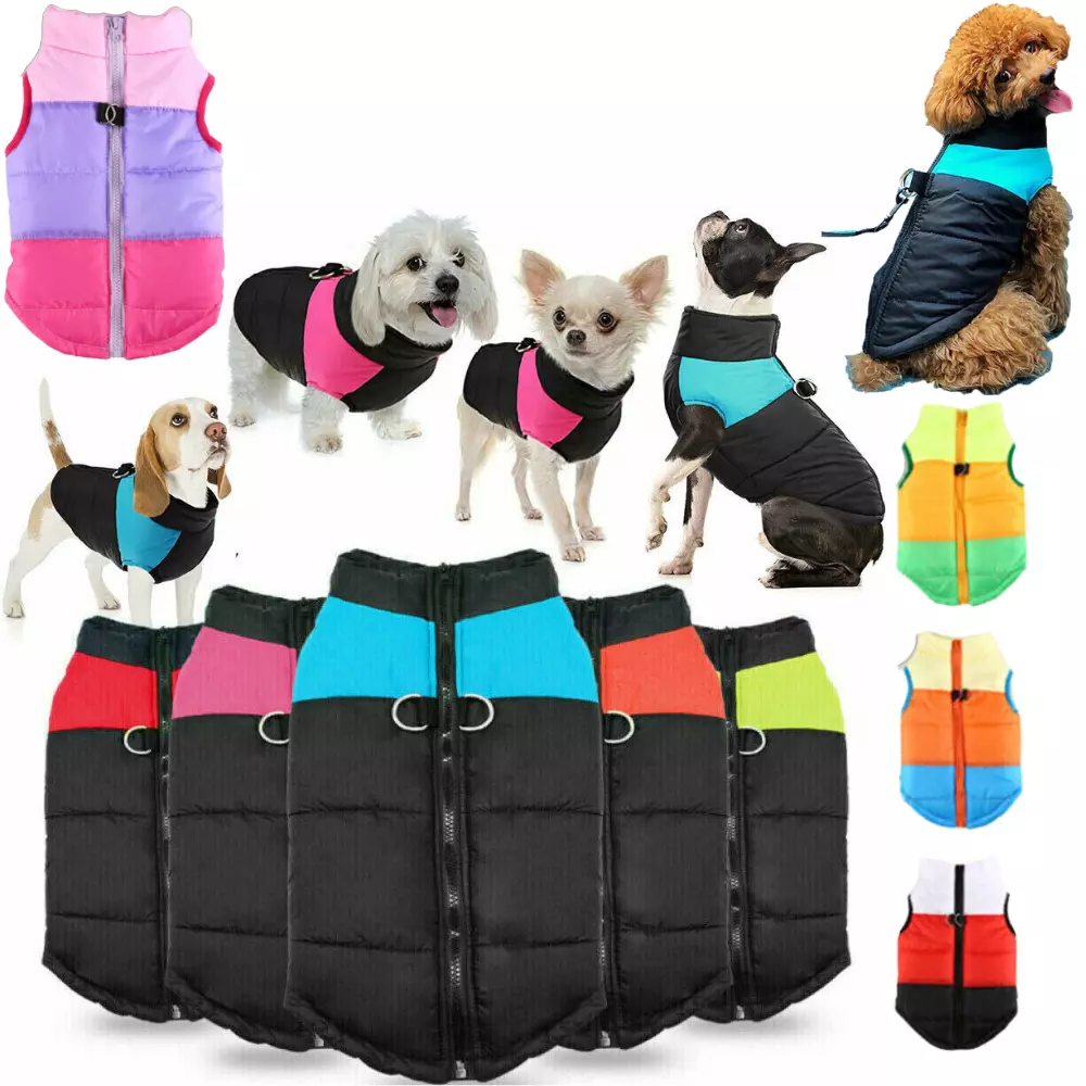 Bunty dog best sale coats