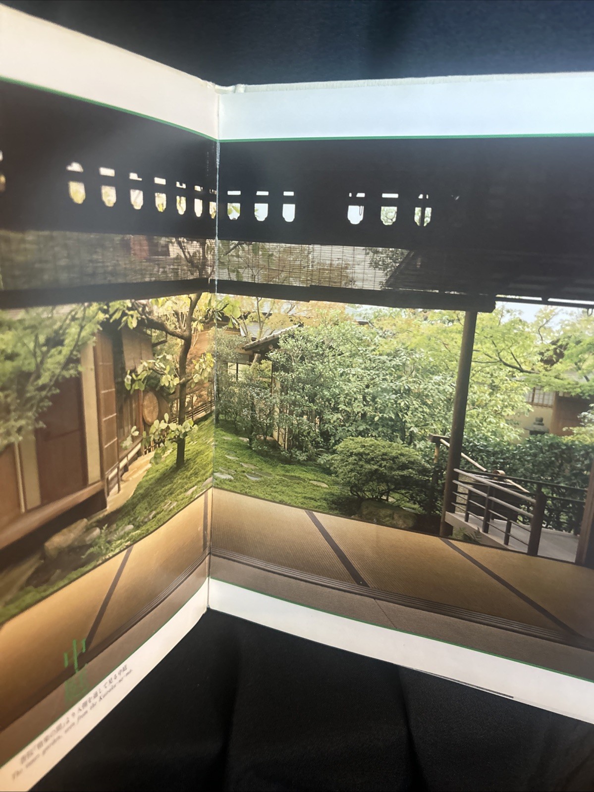 Yamazaki Teryuki / Zan-yuu-soh 1st Edition 1990 HC