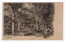 1907 Palm Beach Florida  Cocoanut Grove