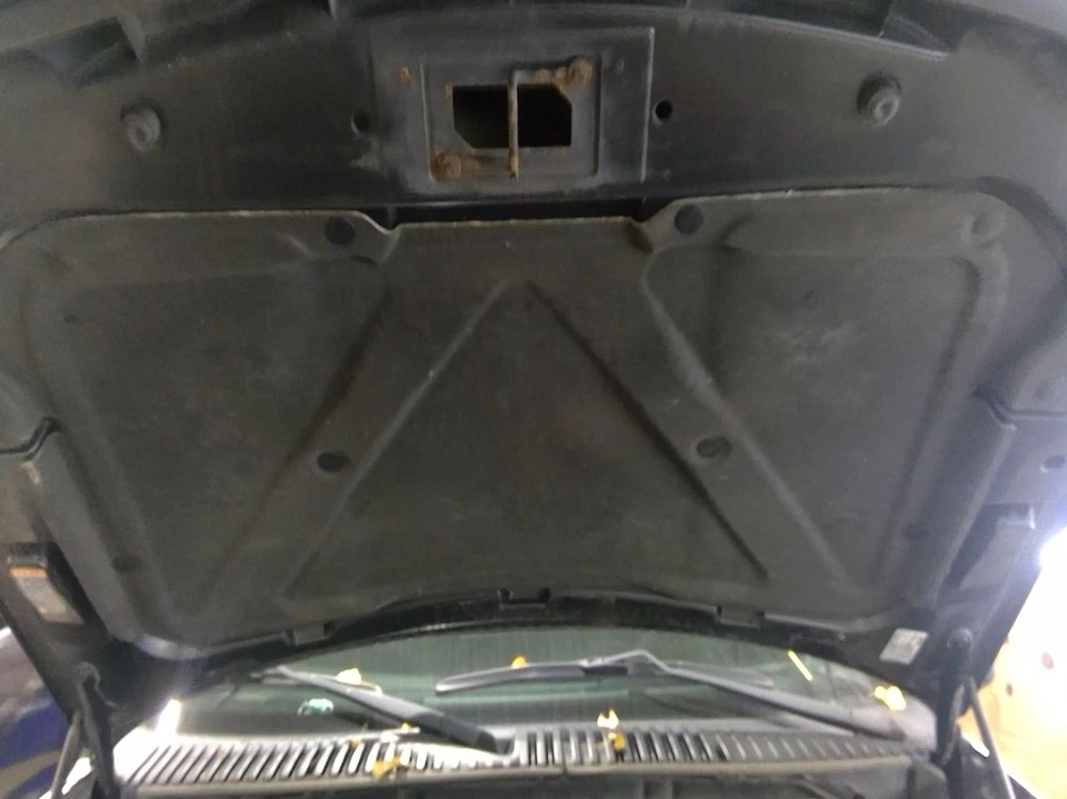 Used Hood fits: 2015 Lincoln Navigator  Grade C - Image 2 of 4