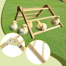 Chicken Roosting Perch Training Ladder Outside Pet Accessories Farm Chicken Toys