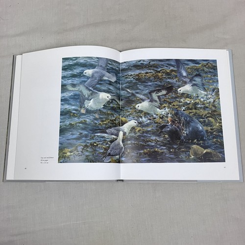 In a New Light Hardback Book by Bruce Pearson 1st First Edition 2003 NEW - Picture 23 of 24