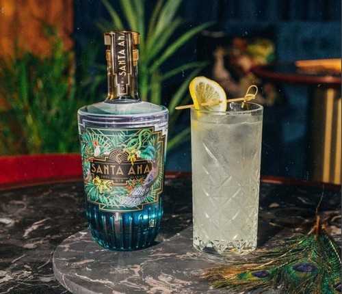 3 BT. GIN SANTA ANA