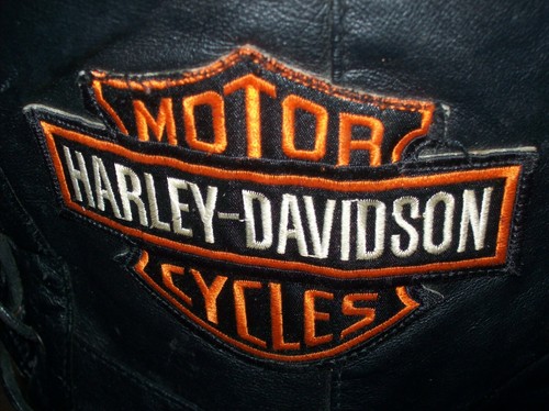 RARE Collectors Patched USA Bikers Dream Womens Vest Size M Harley Davidson - Picture 7 of 12