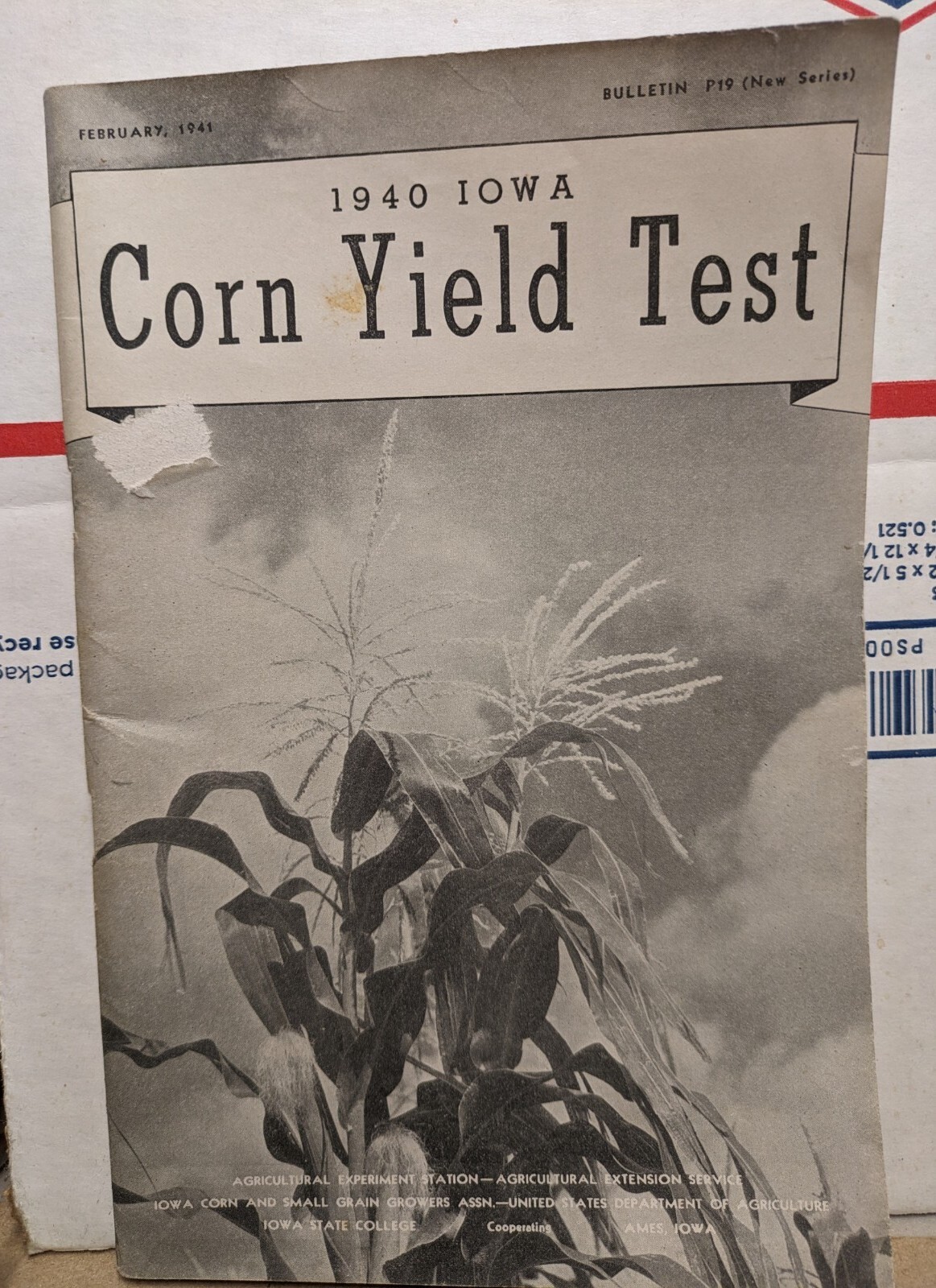 Picture 1 of 23
