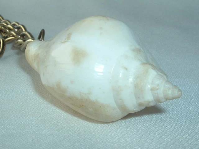 CADENA COLLAR COLGANTE CONCHA HOMBRE VINTAGE Foto 3 de 4