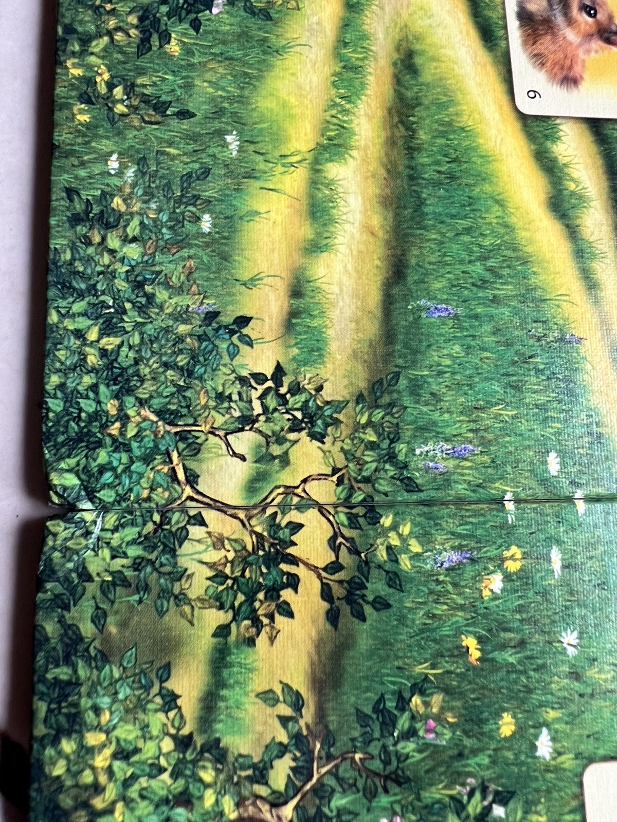 Bild 4 von 11
