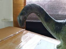 Apatosaurus Figurine Large 1998 Safari Ltd