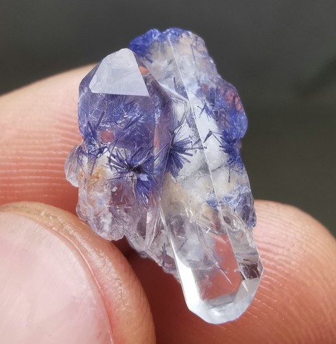 12,5ct sehr seltenes natürliches klares schönes blaues Dumortierit Kristall Exemplar - Bild 2 von 13