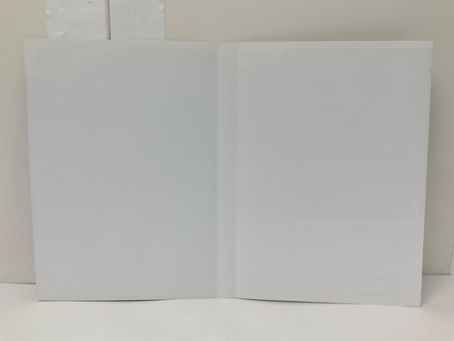 *Solo custodia artwork* Nintendo Wii **Resident Evil 4** Edizione IV ricambio OEM - Foto 2 di 2