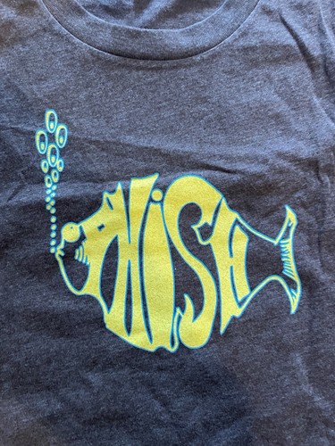 Phish Curveball Aug 17-19 Watkins Glen NY T Shirt Size L Brand New - Picture 2 of 4
