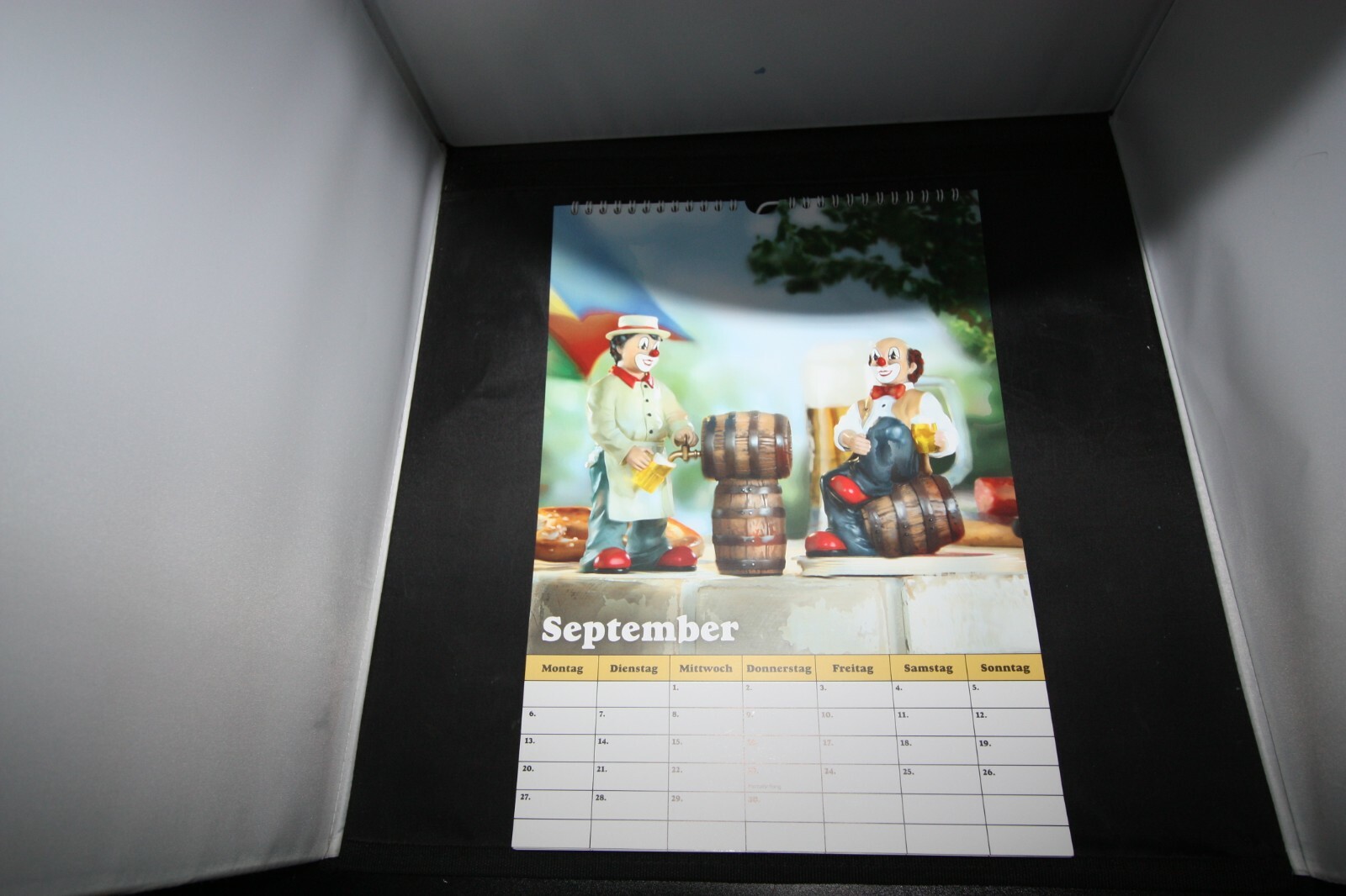 Bild 8 von 11