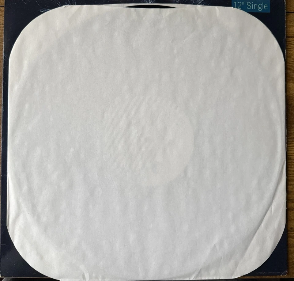 Celine Dion It’s All Coming Back To Me Now Vinyl 1996 - Image 3 of 4