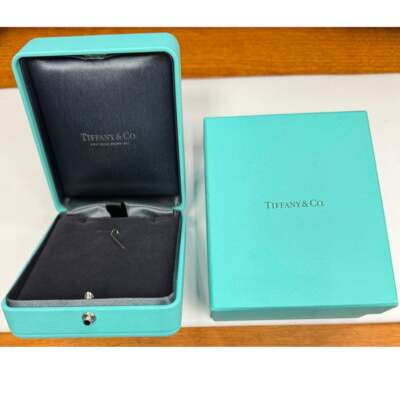 Tiffany & Co .98 Carat Diamond Platinum Bubble Key Pendant | eBay