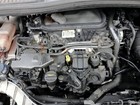 Foto 10 di 10