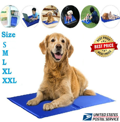 dog ate cooling pad gel