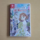 Nintendo Magical Craft Cat and the Dress Video Game Switch Excellent