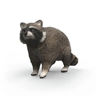 Schleich® 14937 Wild Life WaschbäR 7,29 X 2,95 X 4,28 Cm