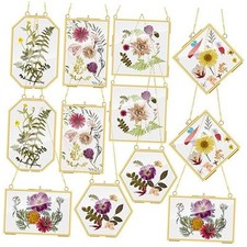 12 Pcs Brass Glass Frame for Pressed Flowers with Chain Clear Double Gold