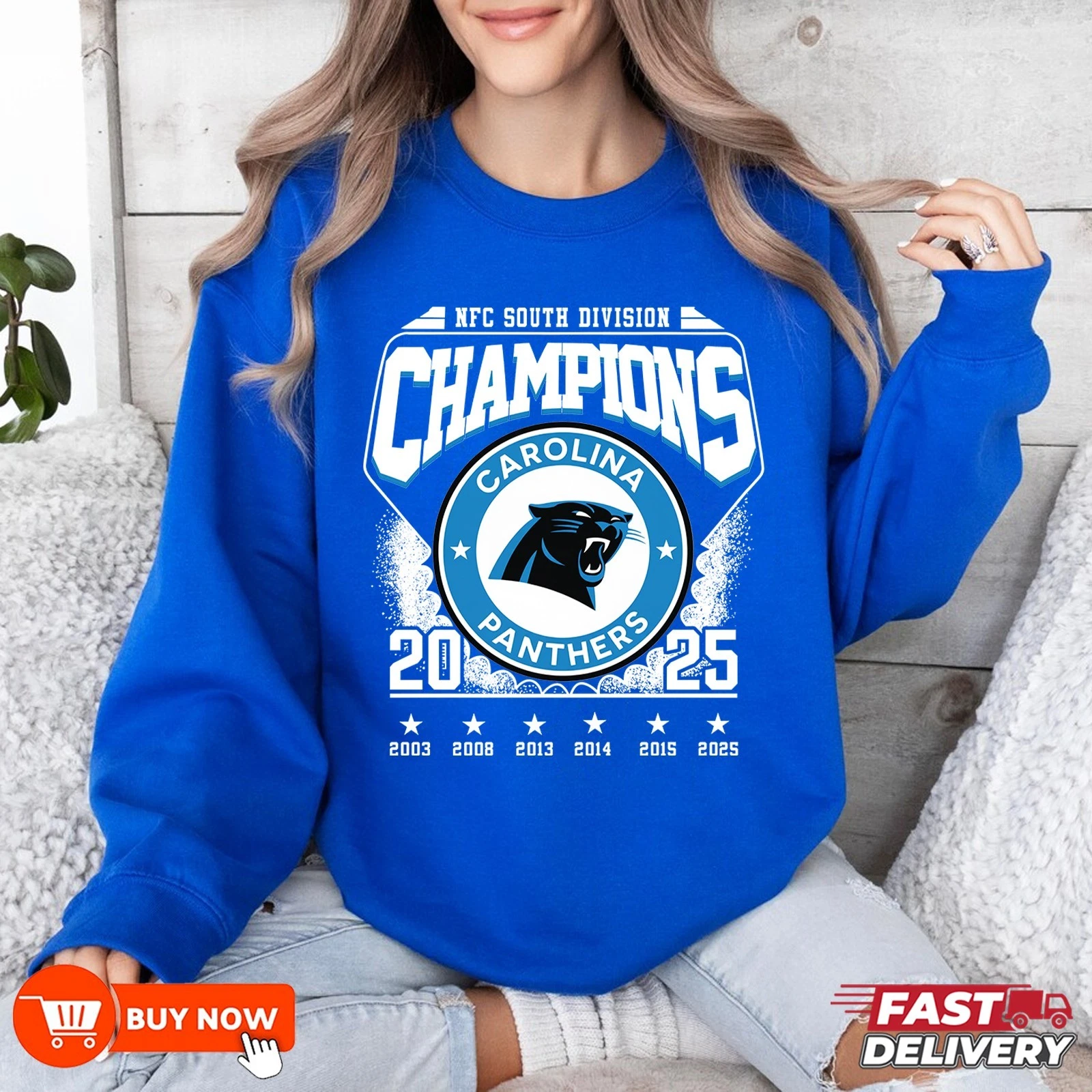 Carolina Panthers 2025 NFC South Division Champions Sweatshirt