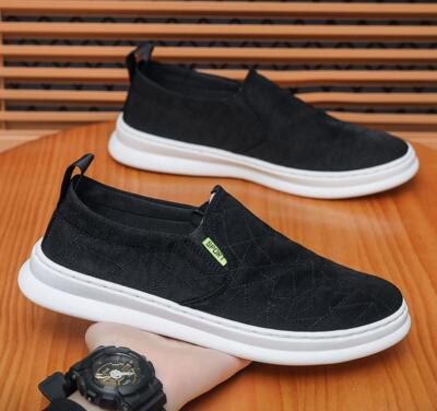Mens Flat Pull On Canvas Loafer Sneaker Flat Board Shoe Moccasins