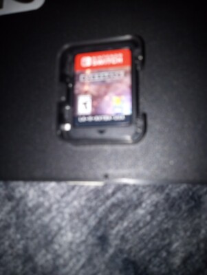 EVERSPACE Stellar Edition Nintendo Switch Game Cartridge only Tested