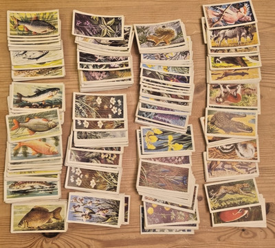Ca. 300 Brooke Bond, Park Drive, Sketchley, Lyons Tea, Sammlerkarten.