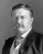 26th President THEODORE 'TEDDY' ROOSEVELT Glossy 8x10 Photo United States Print
