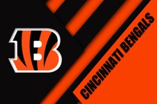 Cincinnati Bengals NFL Team Logo Football Wall Art Print Gift Fan POSTER/CANVAS