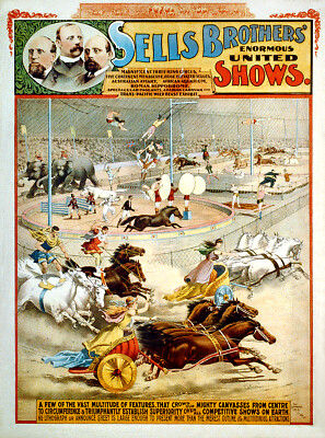 Sells Brothers 1800's Chariot Races  Circus  Poster Print  11 x 17  Giclee Print